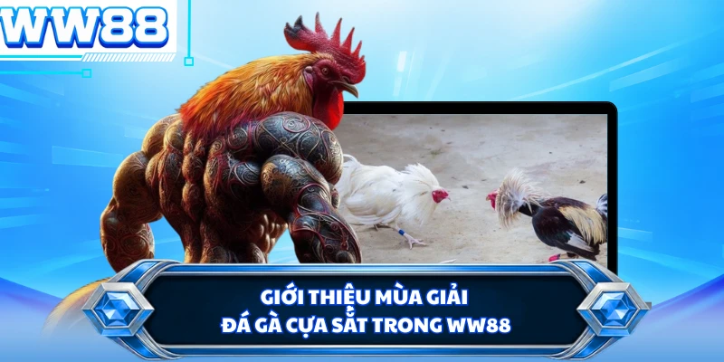Giới thiệu mùa giải đá gà cựa sắt trong WW88 