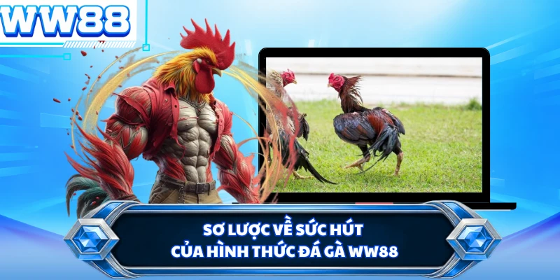 Sơ lược về sức hút của hình thức đá gà WW88