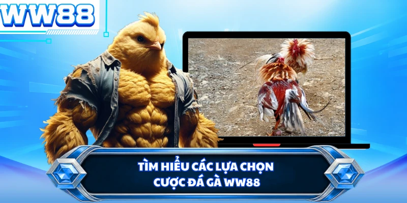 Tìm hiểu các lựa chọn cược đá gà WW88