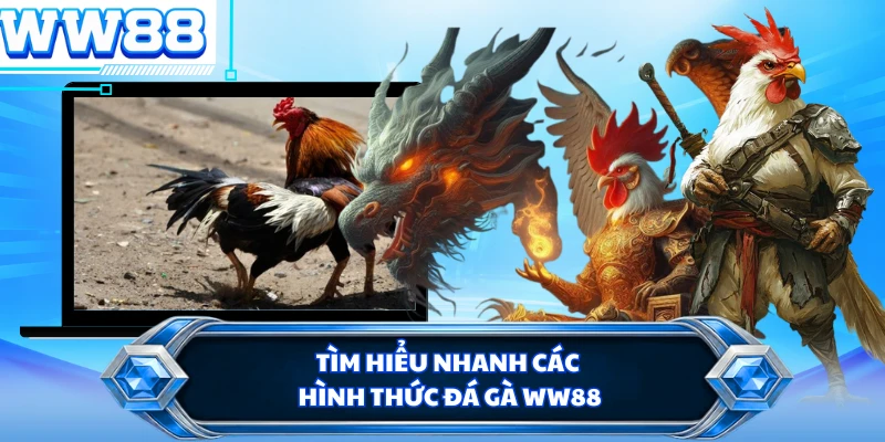 Tìm hiểu nhanh các hình thức đá gà WW88
